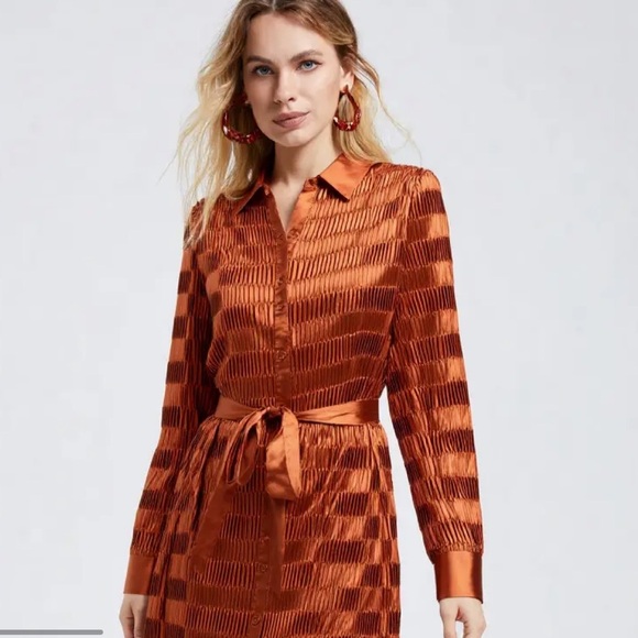 Rust Satin Pleated Shirt Dress (Missing Belt) - Picture 2 of 11